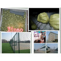 Plastic Coated Chain Link Fence/PVC Coated Fence